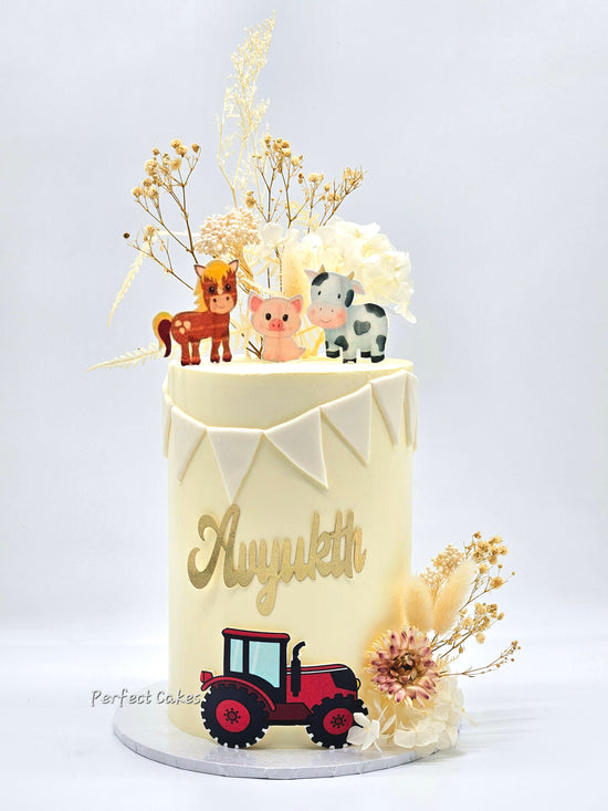 Barn Farm Animal Cake