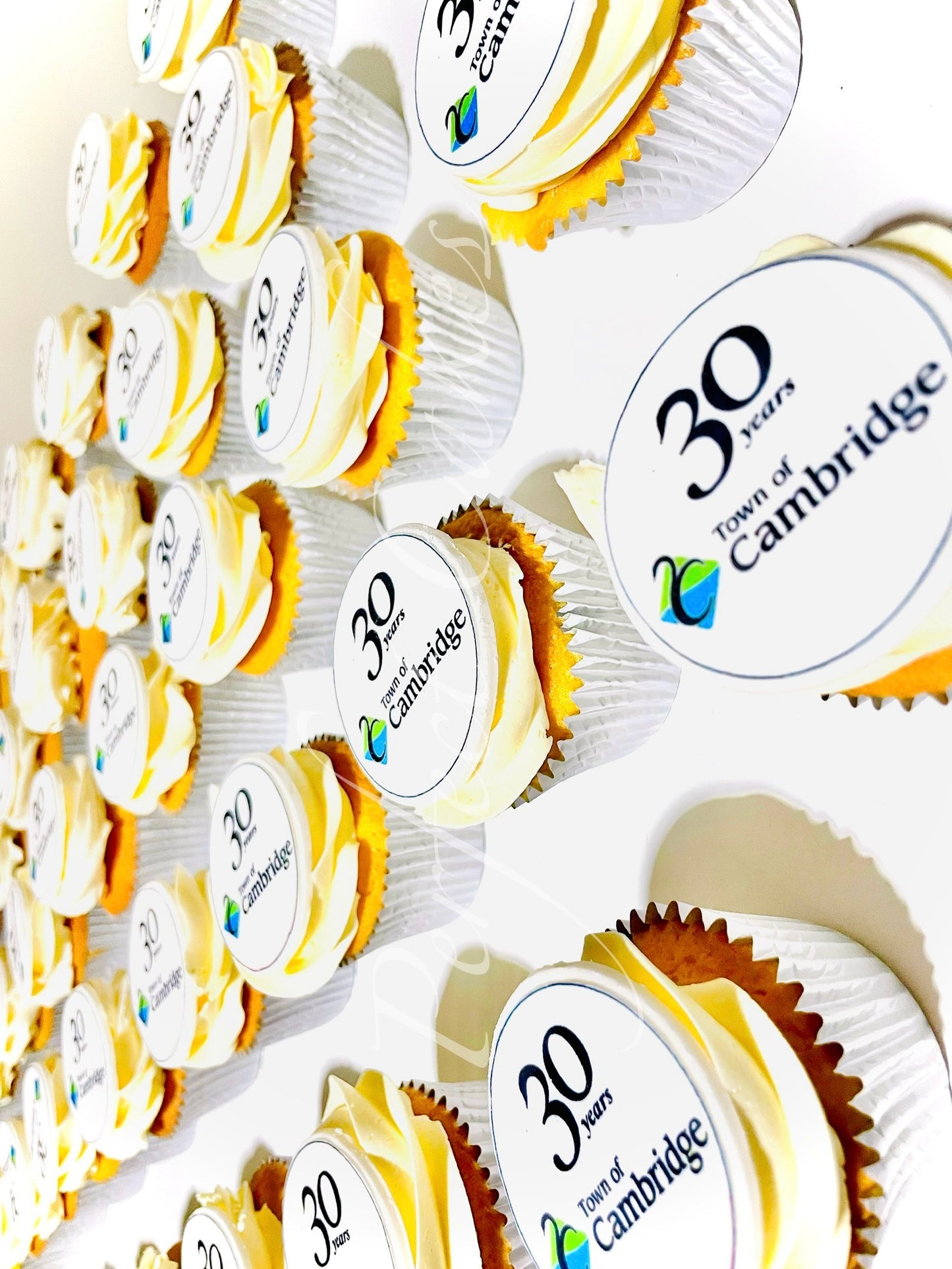 Corporate Cupcakes